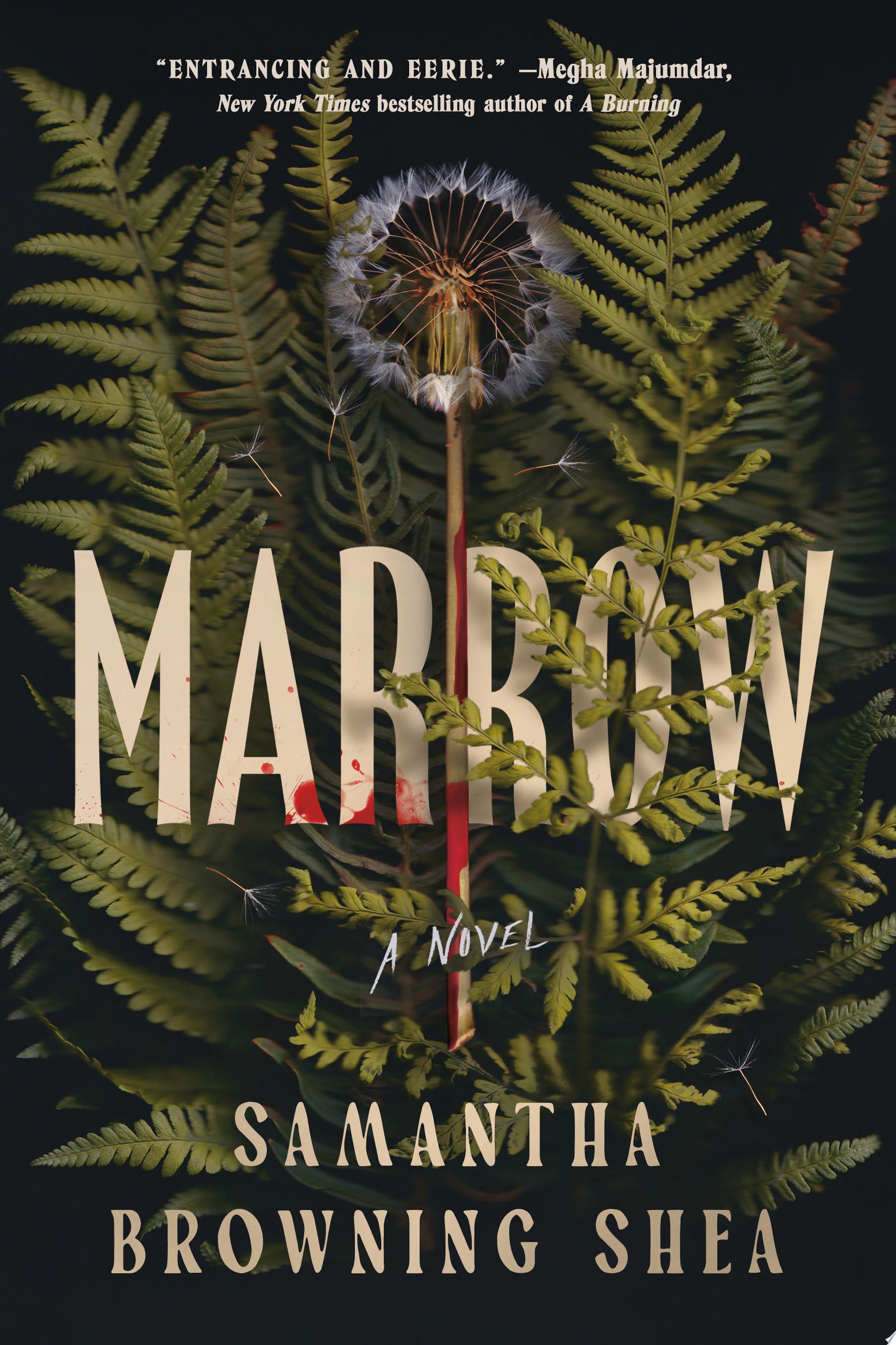 Image for "Marrow"