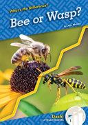 Image for "Bee or Wasp?"