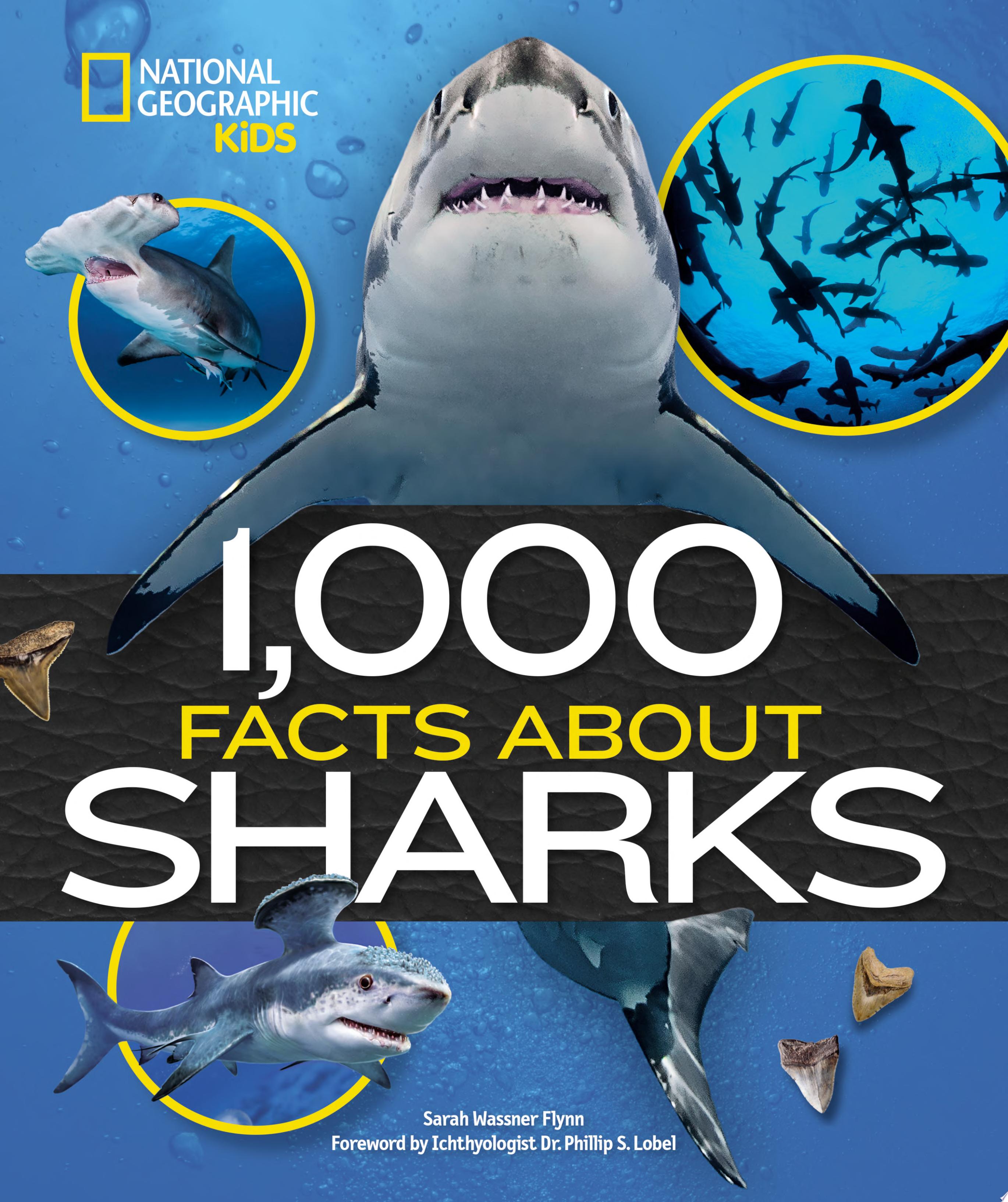 Image for "1,000 Facts About Sharks"