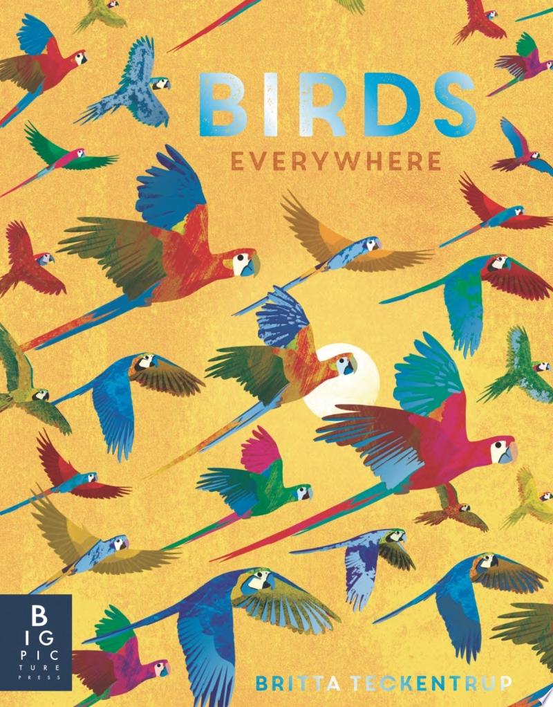 Image for "Birds Everywhere"