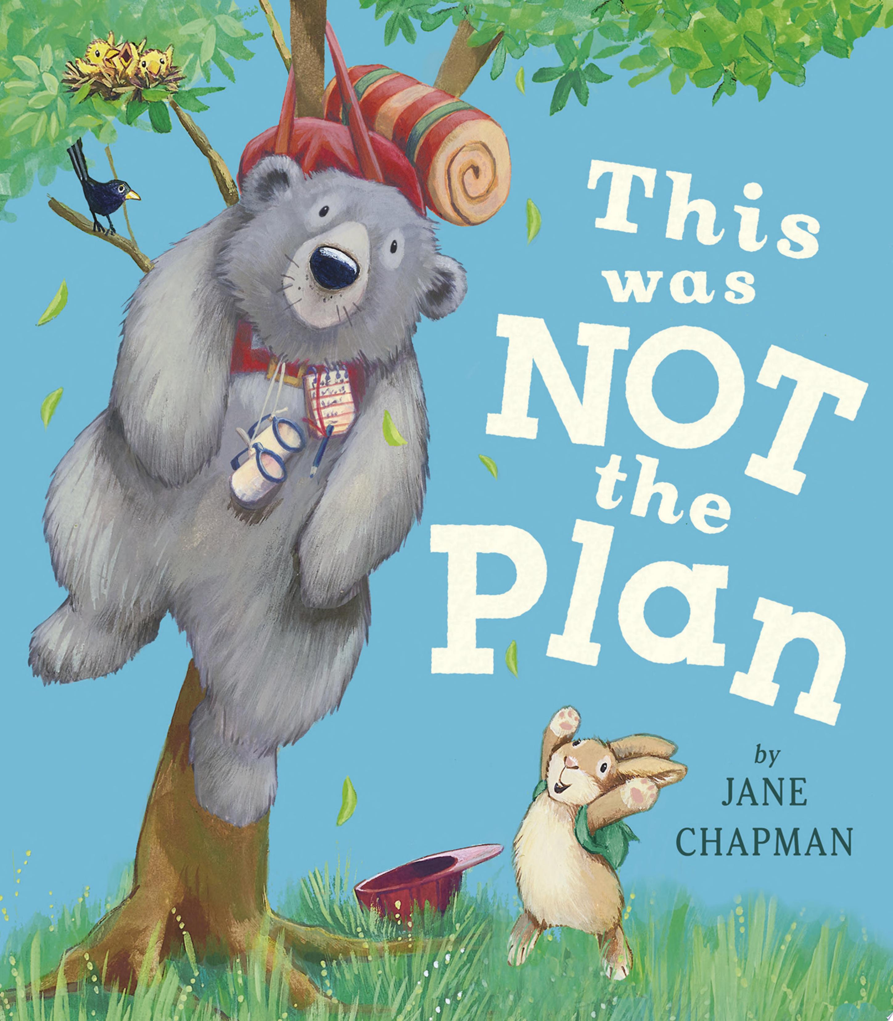 Image for "This Was Not the Plan"