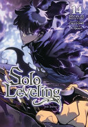 Image for "Solo Leveling, Vol. 14 (comic)"
