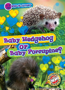 Image for "Baby Hedgehog Or Baby Porcupine?"